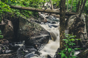 manitoba hiking trails