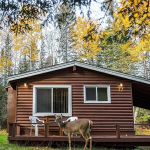 Photo of a Deer Standing Next to a Tallpine Cabin. It's Fall Photography at Its Finest.