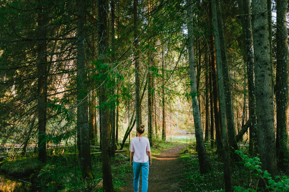 west hawk lake resort - Tallpine Lodges